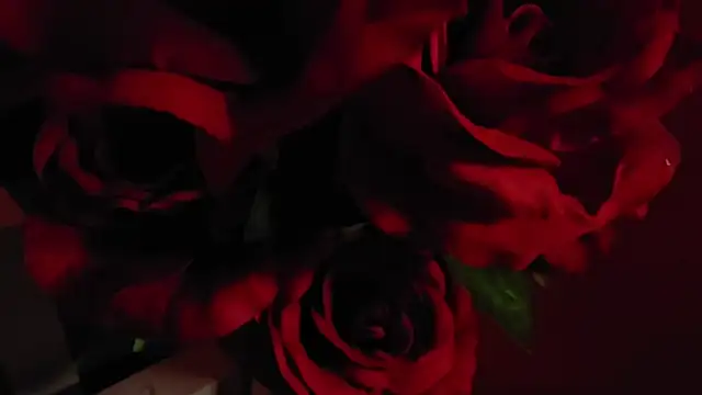 _Jane_Warren_ élő XXX-chatje