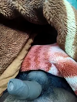 Big_boss_0001 Webcam-Show