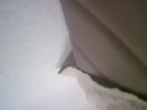 lattenjo's Webcam Show