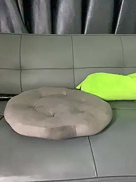 Ly_Chuppy: διαδικτυακό σόου στην κάμερα