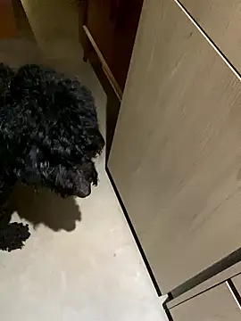 alwaysyoursmommy's Webcam Show