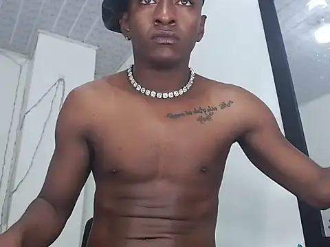 brauliothのウェブカメラショー