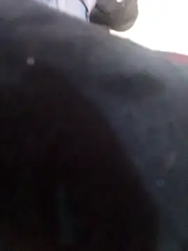 Chatroom XXX en direct de taylorqueensexx