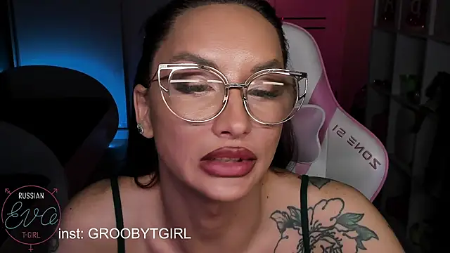 SibylVexn Webbikameraesitys