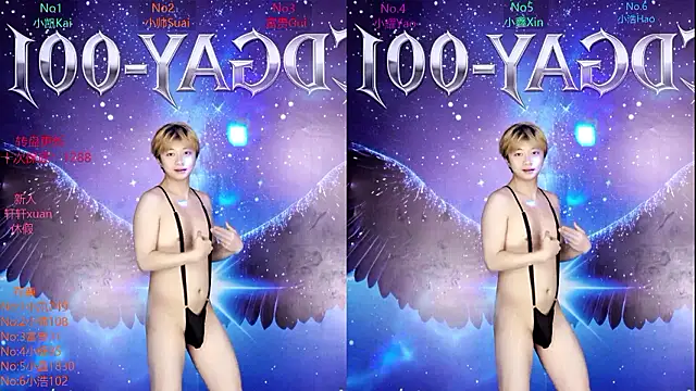 Show webcam de CDGAY_001