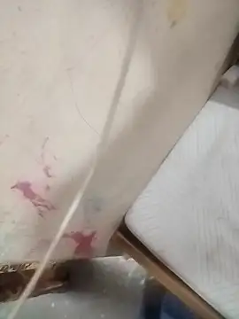 bossmagi Live XXX Chat