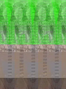 Sing2k's Live XXX Chat