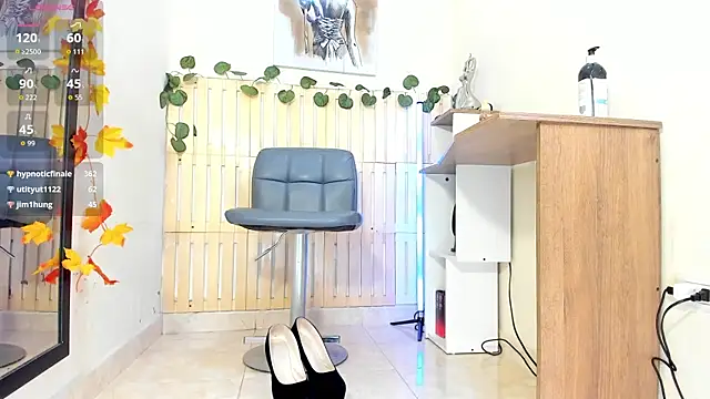 kaindaaのウェブカメラショー