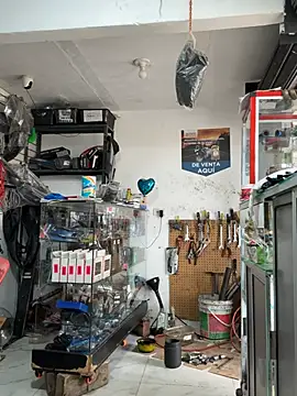 Paul22cm-: онлайн-секс-чат