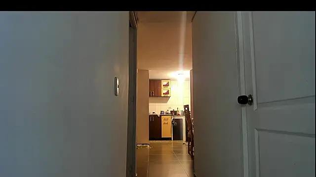 Patryman's Webcam Show