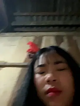 Nul-chal 在線直播表演