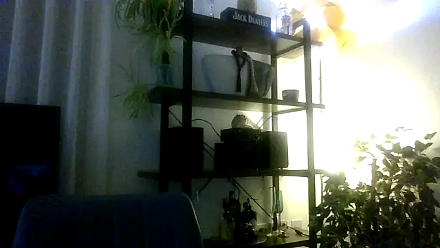 Ebony-SultryXn Live XXX chat