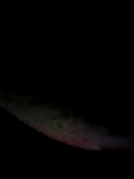 Chat XXX Live kamita-12