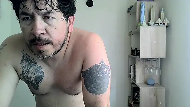 HiddenBear Webcamshow