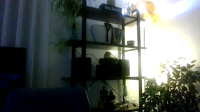 Ebony-SultryX 现场XXX聊天