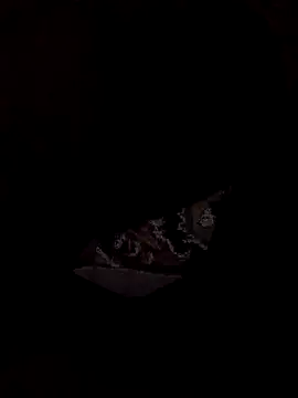 1Aya1Mustafa – Kamerová šou