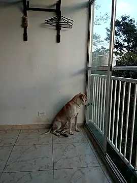 Chat +18 de LEIRIS_Y_FRED_01 ao vivo