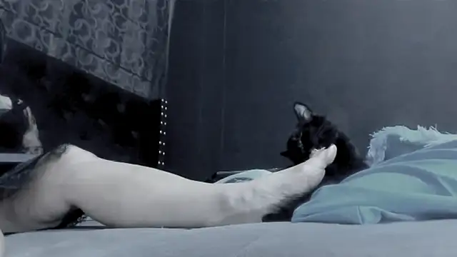 amareto_queen Live XXX-chat