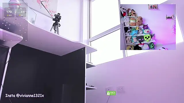 Violetvivi élő XXX-chatje