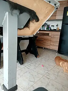 LEIRIS_Y_FRED_01 élő XXX-chatje