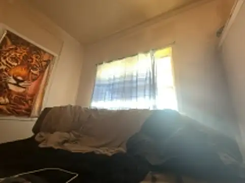 ThrowedWorldWide 라이브 XXX 채팅