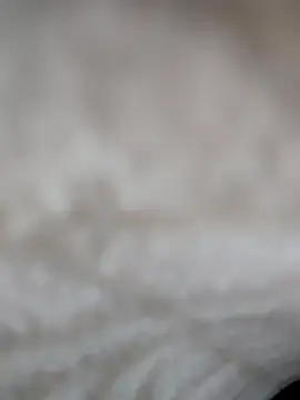 jiniya6789's Live XXX Chat