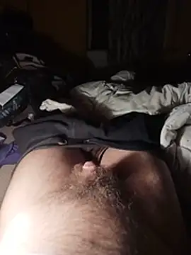 Bzyczek555 – Kamerová šou