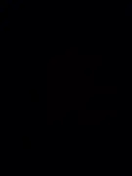 Show Webcam de bigzvon