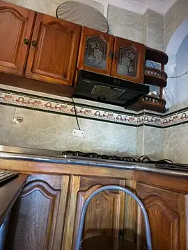 NovaFoxx 即時 XXX 聊天