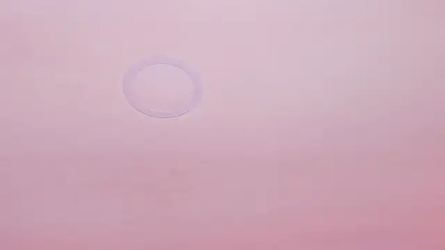 SusanAdams1 live XXX chat