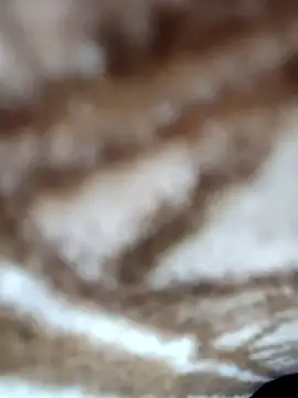 jiniya6789: διαδικτυακό σόου στην κάμερα