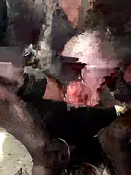 dede29372 Pertunjukan Webcam