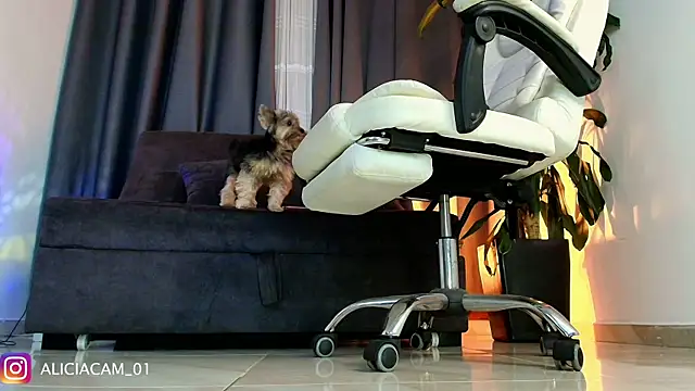 Živý XXX chat Aliciawonderxx