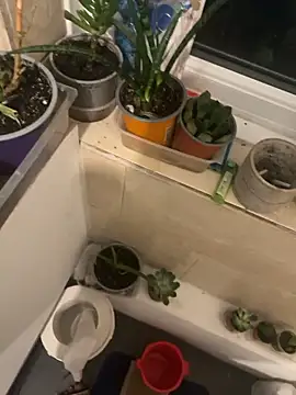 sexysmithbaby Pertunjukan Webcam