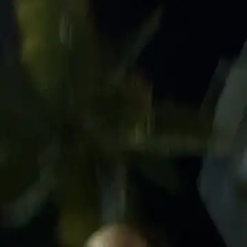 _sofia___のライブXXXチャット