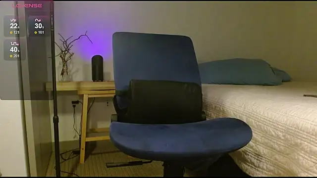 Danmetsen's Webcam Show