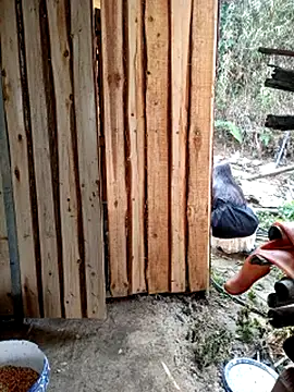 congchua977's Webcam Show