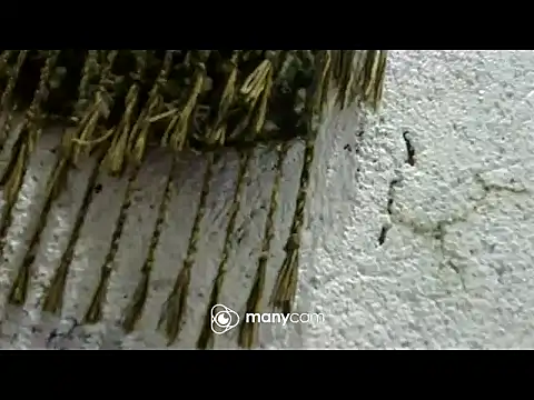 juicycum069's Live XXX Chat