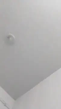 casal1001 live XXX chat