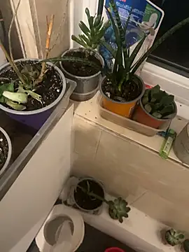 sexysmithbaby's Webcam Show