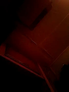 Pokazy przed kamerką – ShawnandDani7074