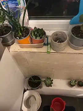 sexysmithbaby: διαδικτυακό σόου στην κάμερα