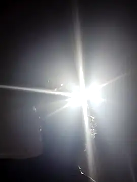 Czat XXX na żywo – AceticPinscher