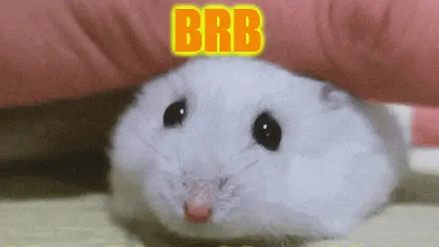 Chat +18 de Lolly_Fly ao vivo