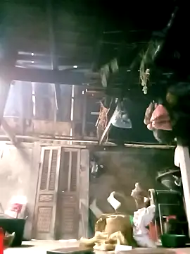 ngan-cute élő XXX-chatje