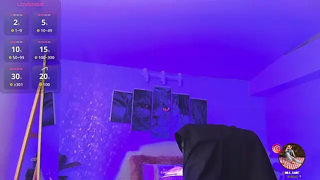 nils_saint élő XXX-chatje