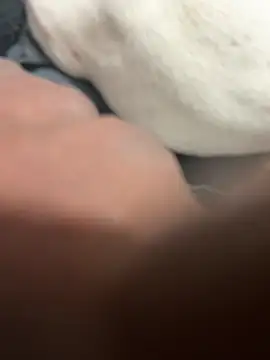 SukItSlo444 élő XXX-chatje