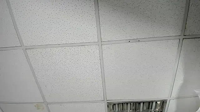 Aisha_hotts777 élő XXX-chatje