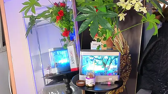 elizabethsecrett Chat XXX in diretta