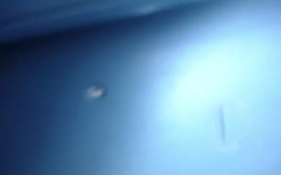 Peter_boys_1's Live XXX Chat